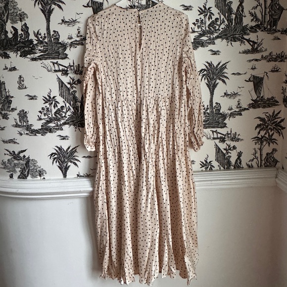 Polka Dot Zara Dress - Picture 5 of 11